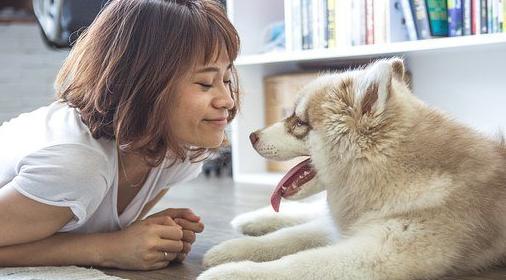 Львы исполнят мечту, а Тельцы почувствуют слабость: гороскоп на пятницу