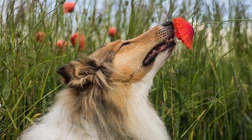 Девам стоит отвлечься, а Стрельцам – прислушаться к окружающим: гороскоп на среду