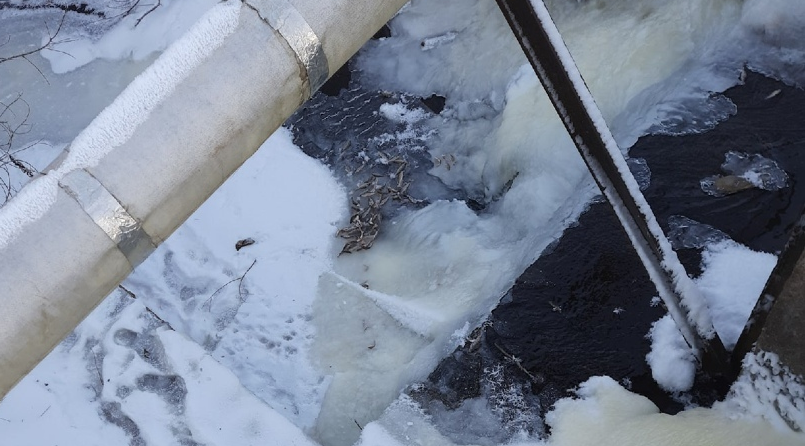 Что обсуждают в Кирово-Чепецке: выступление местных фигуристов и мертвая рыба в водоеме