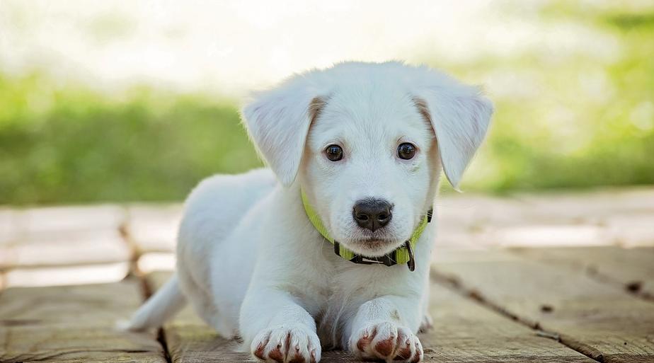Овны проявят свои способности, а Девы окажутся в гуще событий: гороскоп на воскресенье