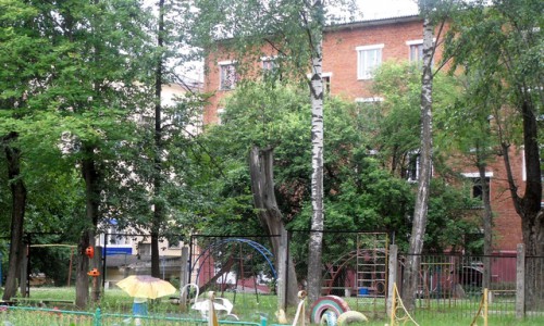 В Кирово-Чепецке снесут несколько старых деревьев