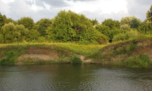 В Кировской области нашли тела пропавшего пенсионера и его 6-летнего внука