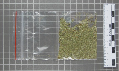 В Кирово-Чепецке ликвидировали четыре группировки, которые промышляли синтетическими наркотиками