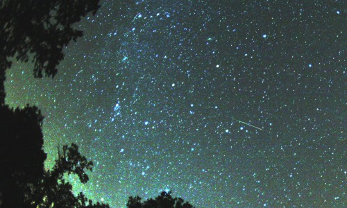 Видео: чепчане  в августе смогут увидеть мощный метеорный поток