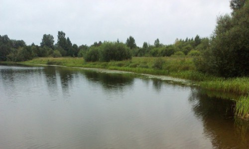 На предстоящей неделе в Кирово-Чепецке будет прохладно