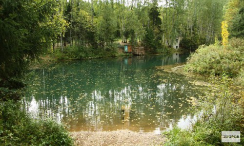 В Кировской области в пруду утонул 4-летний малыш