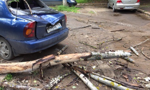 В Кирово-Чепецке на иномарку упало сухое дерево