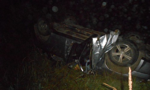 В Кировской области иномарка сбила лося и перевернулась: пострадали два человека