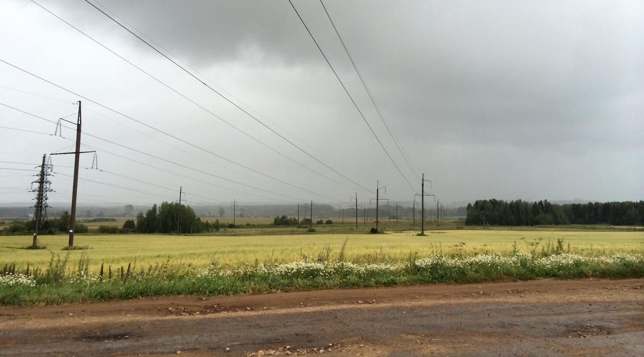 Жителей Кировской области ждет прохладный и дождливый май 