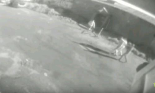 Кировчанина похитили возле ночного клуба: появилось видео происшествия