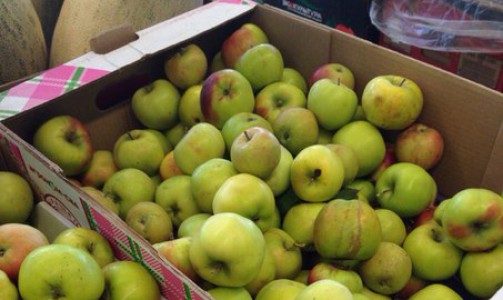 Ценомер: где в Чепецке дешевле всего купить яблоки?