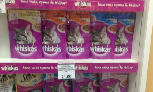 Ценомер: где в Чепецке дешевле всего купить корм для кошек?