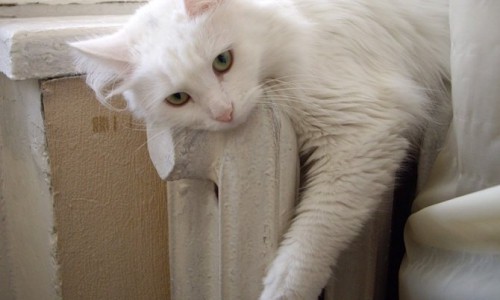 Чепецкие власти назвали дату, когда в квартиры начнет поступать тепло