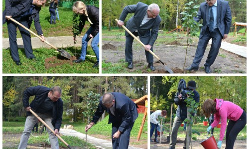 В честь юбилея Кирово-Чепецка в городе высадили 60 яблонь