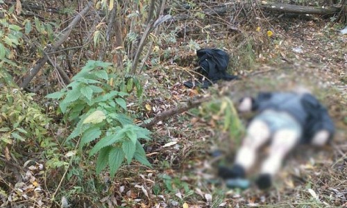 В Кирове нашли обнаженное тело неизвестного мужчины