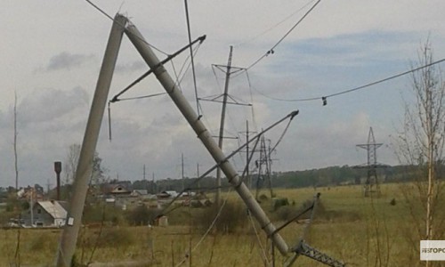 Погода в Кирово-Чепецке: сильный ветер будет валить деревья и рвать провода