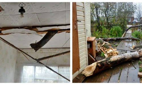 Во время урагана в Кировской области сук тополя пробил крышу жилого дома