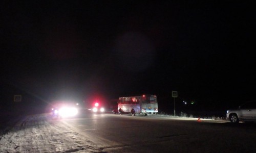 В Кирово-Чепецком районе автобус 103 маршрута сбил двух пешеходов