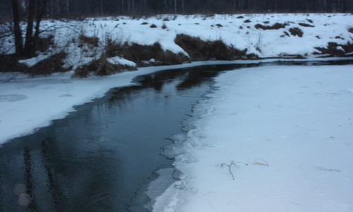 В Кирово-Чепецке у городского пляжа найден труп девушки
