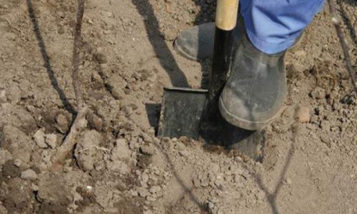 В Кировской области найдено тело пропавшего мужчины: его на пустыре закопал знакомый