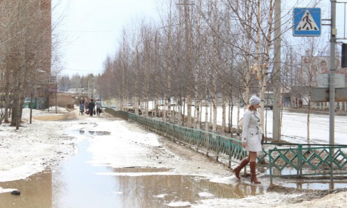 На следующей неделе в Кировской области потеплеет до +6