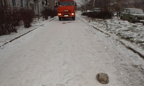 Близкие водителя мусоровоза, который сбил женщину: «Парню надо семью поднимать, а не в тюрьме сидеть»