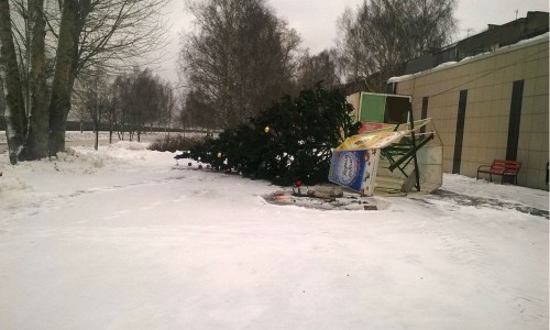 В Кирово-Чепецке из-за ураганного ветра упала елка