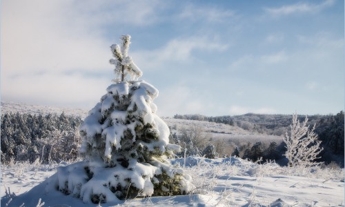 На неделе в Чепецке ожидается резкое похолодание
