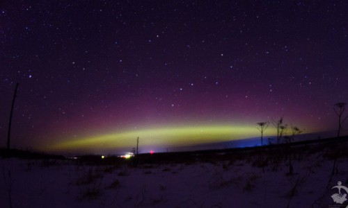 Фото: в новогоднюю ночь жители Кировской области видели полярное сияние