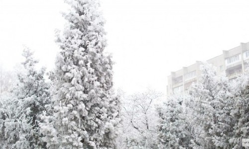 Первые январские выходные в Чепецке будут морозными