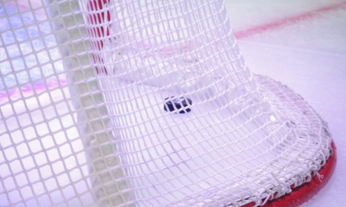 Чепецкие хоккеисты сразятся за «Новогодний кубок-2016»