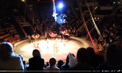 В кировском цирке сорвалась с высоты воздушная гимнастка