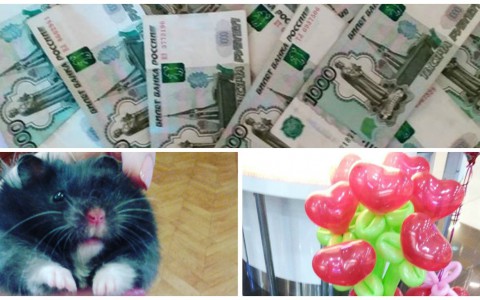 Что подарили чепчане на День влюбленных: хомячок, сердце из купюр и необычные роллы