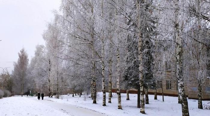 Небольшое похолодание и мало осадков: какая погода ждет чепчан 17 января?