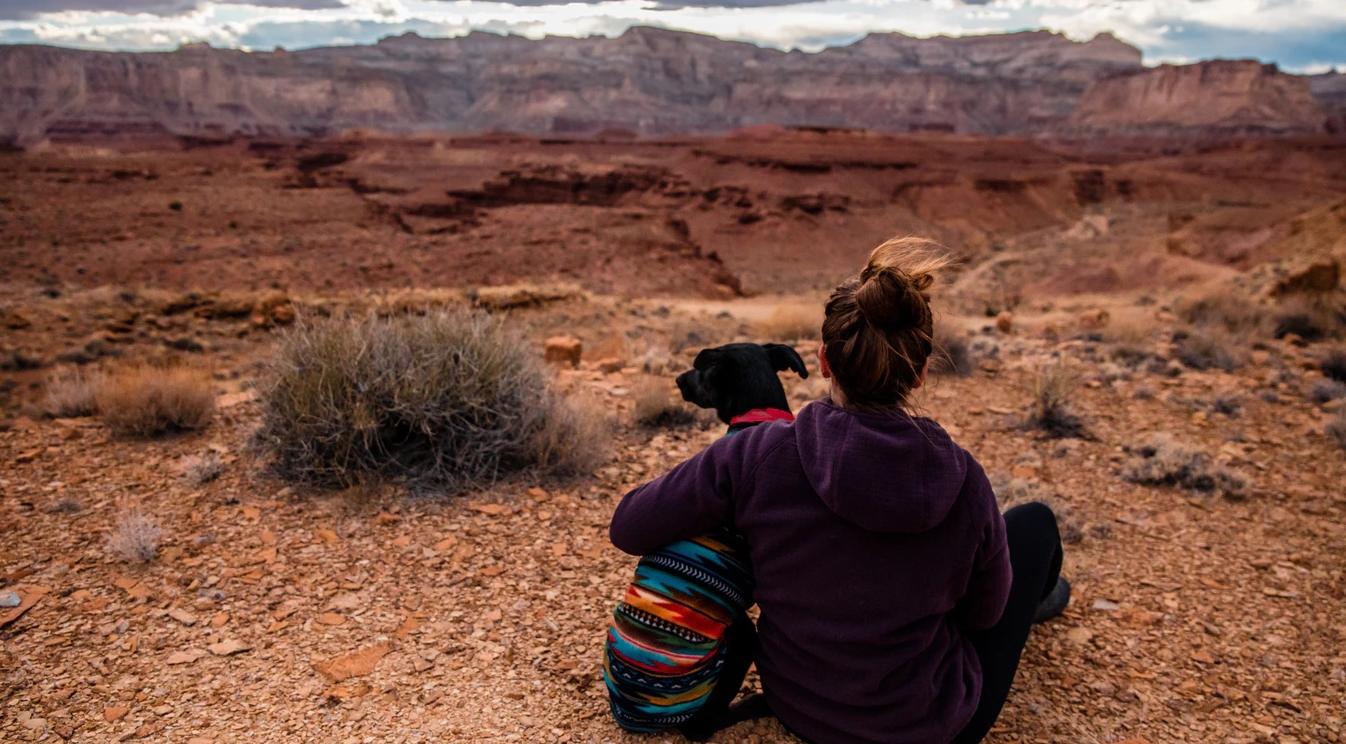 Раков ждет бумеранг, а Скорпионов ждет новый период в жизни: гороскоп на среду
