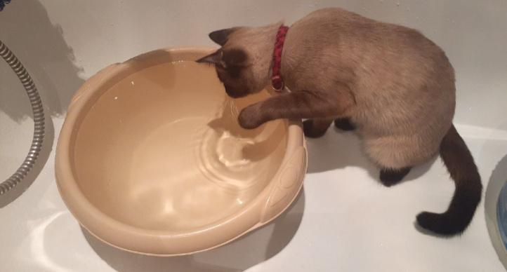 Жителям Кирово-Чепецка отключили воду 20 августа 