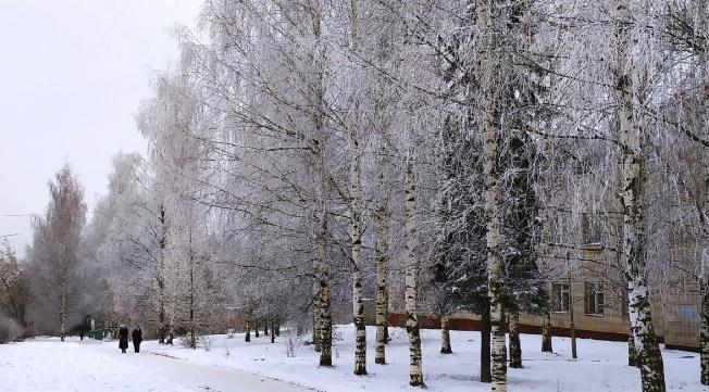 В Кирово-Чепецке новая неделя принесет потепление до +1 и сильный ветер