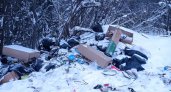 В Чепецком районе нашли незаконную свалку отходов из цветочного магазина