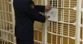 Кировчанина осудили за угрозу убийством сожительнице и неуплату алиментов на сына