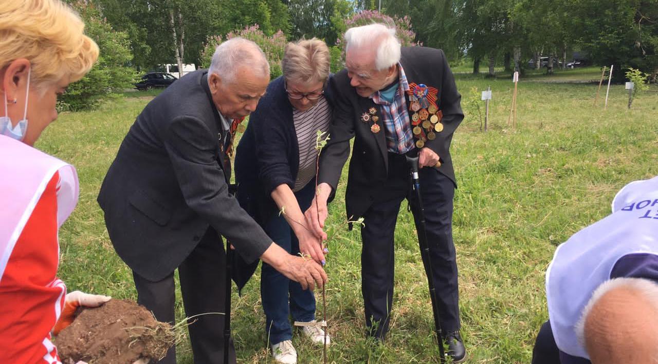 Ветераны и школьники высадили в Кирово-Чепецке Сад Памяти