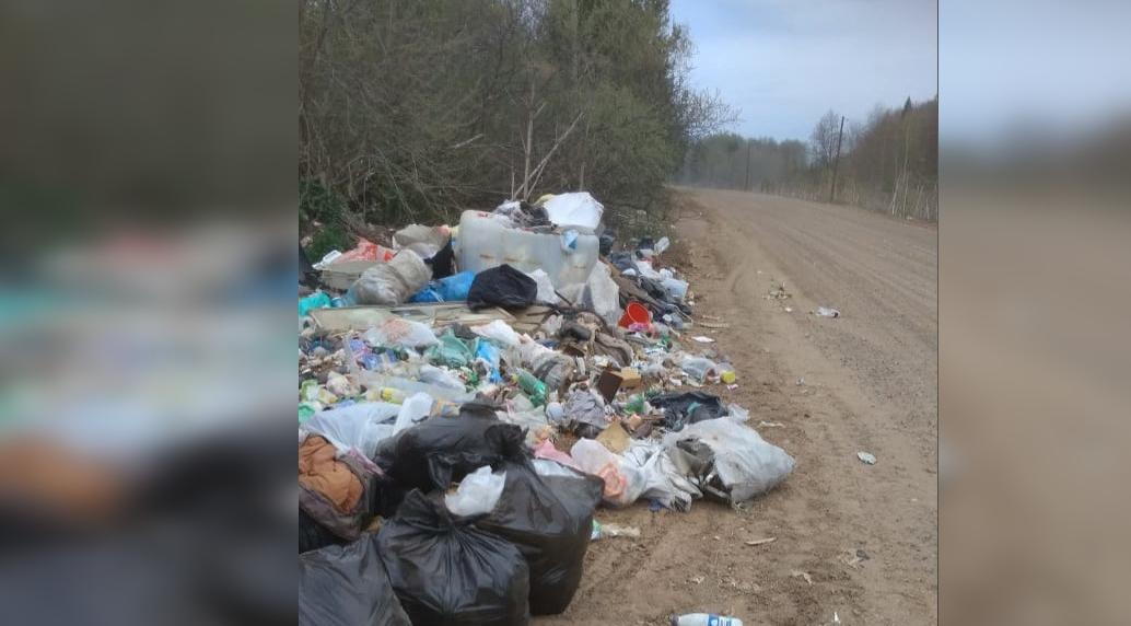 В Кирово-Чепецком районе образовалась огромная свалка, которая с каждым годом растет