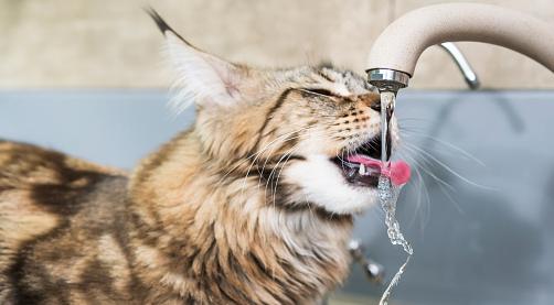 Известно, когда в Кирово-Чепецке восстановят водоснабжение 