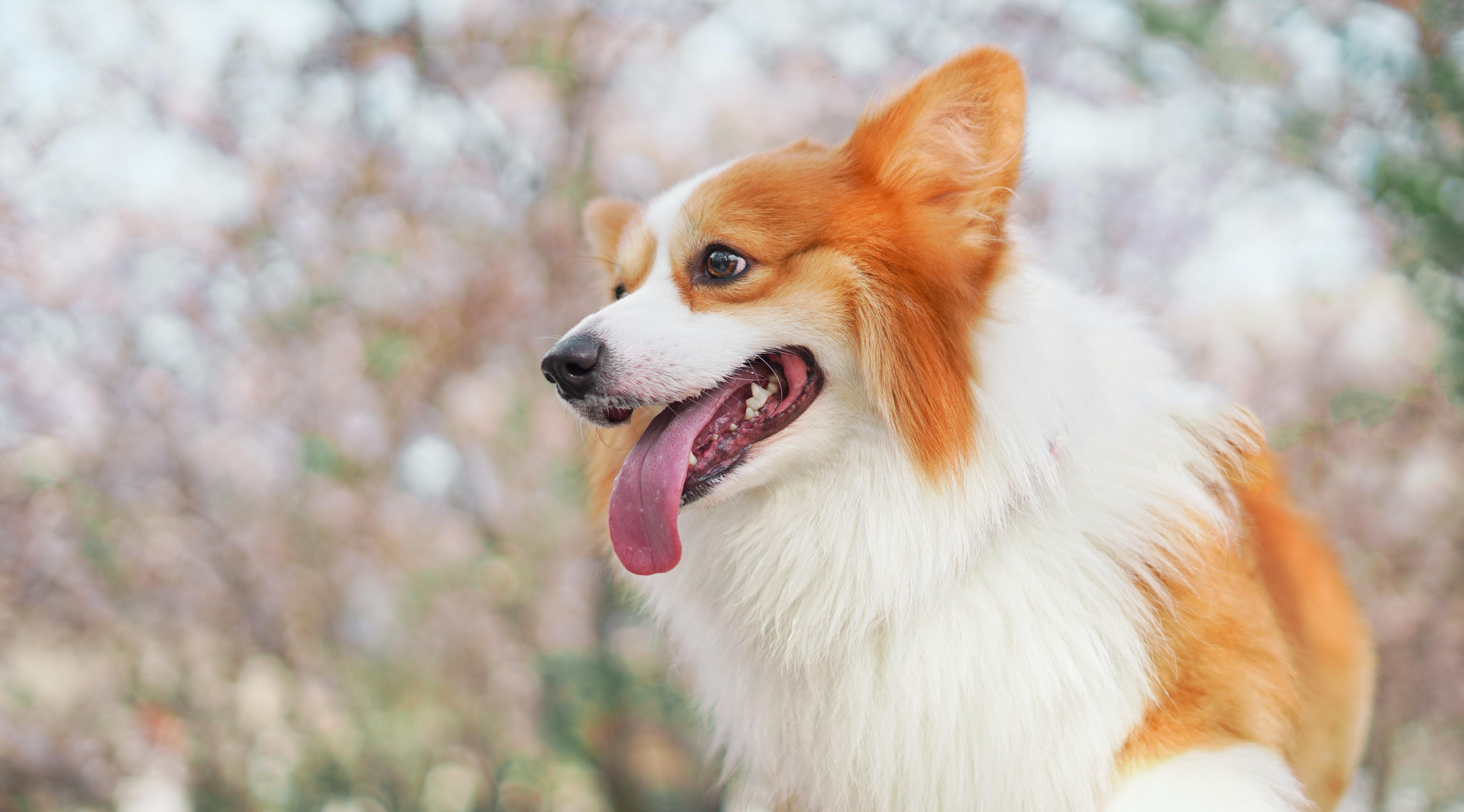 Львы вздохнут полной грудью, а Ракам понадобится помощь родных: гороскоп на воскресенье