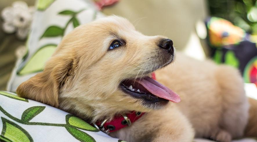 Близнецов ждут перемены в личной жизни, а Стрельцов романтика: гороскоп на воскресенье