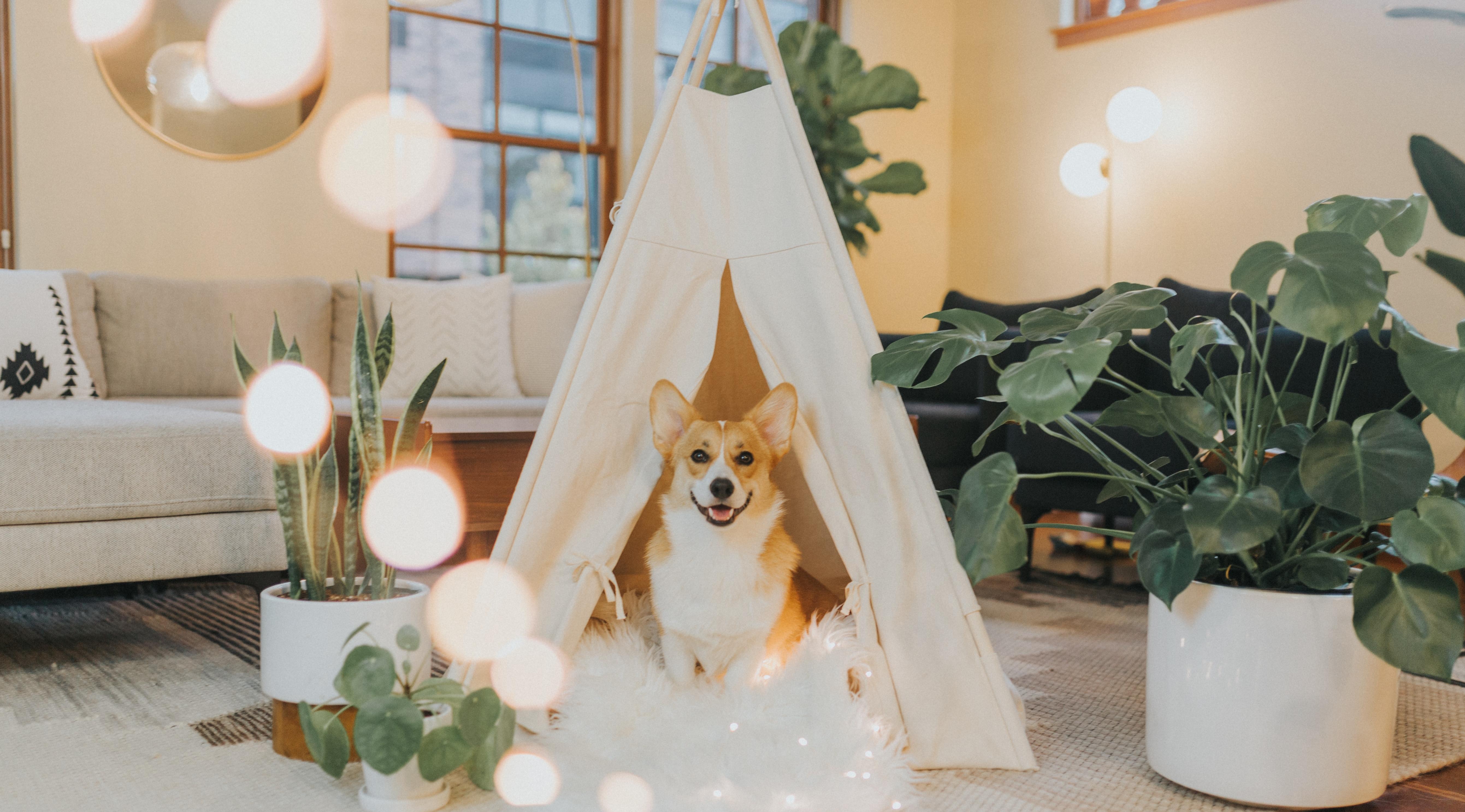 Рыбы найдут себя, а у Раков все пойдет не по плану: гороскоп на воскресенье