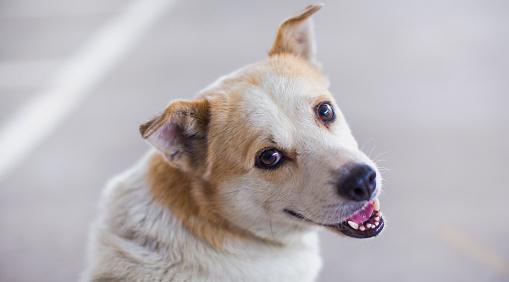 Весы разберутся в финансах, а Стрельцы будут склонны к лени: гороскоп на четверг