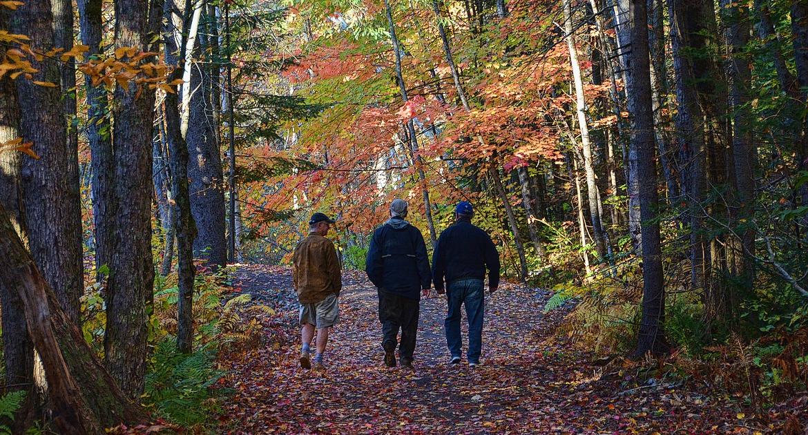 Придет ли бабье лето: какая погода ждет чепчан в сентябре