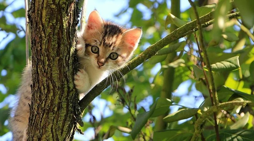 Близнецы будут усердно трудиться, а Львы поднимут самооценку: гороскоп на неделю