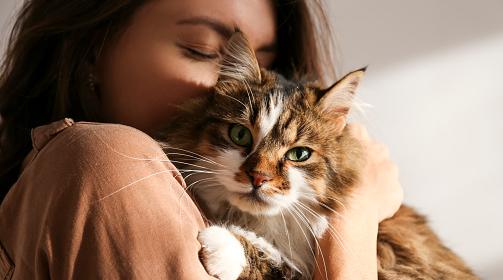 Овны поддадутся соблазнам, а Козероги обретут гармонию: гороскоп на субботу