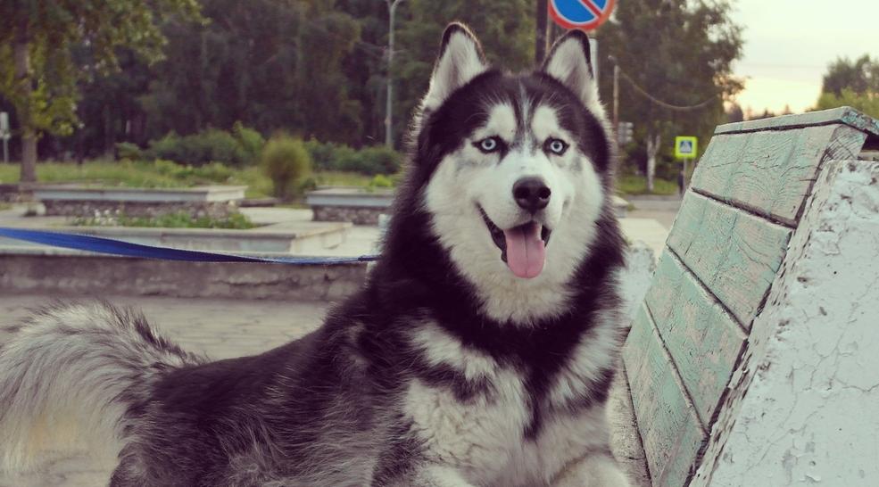 Понижение температуры и дожди: прогноз погоды на неделю в Кирово-Чепецке